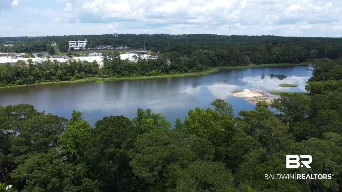 Image 4: Aerial view of a forest and a nearby body of water