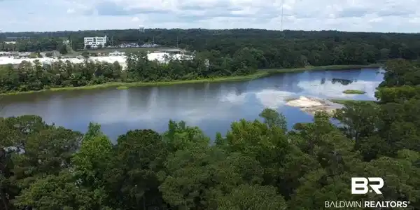Image 4: Aerial view of a forest and a nearby body of water