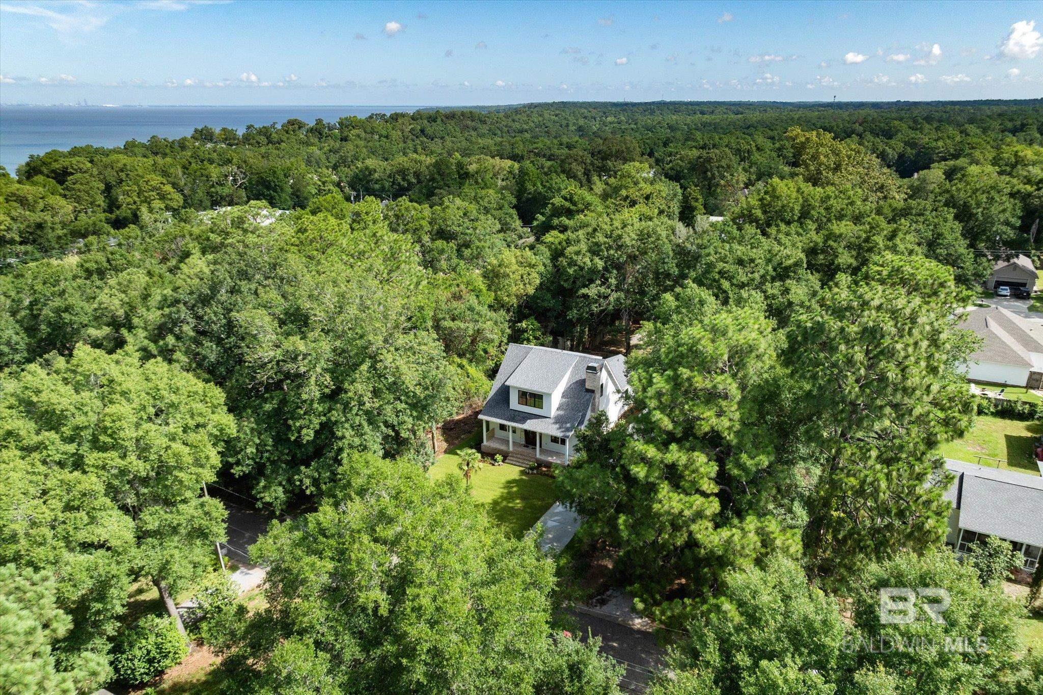 Image 3: Aerial View