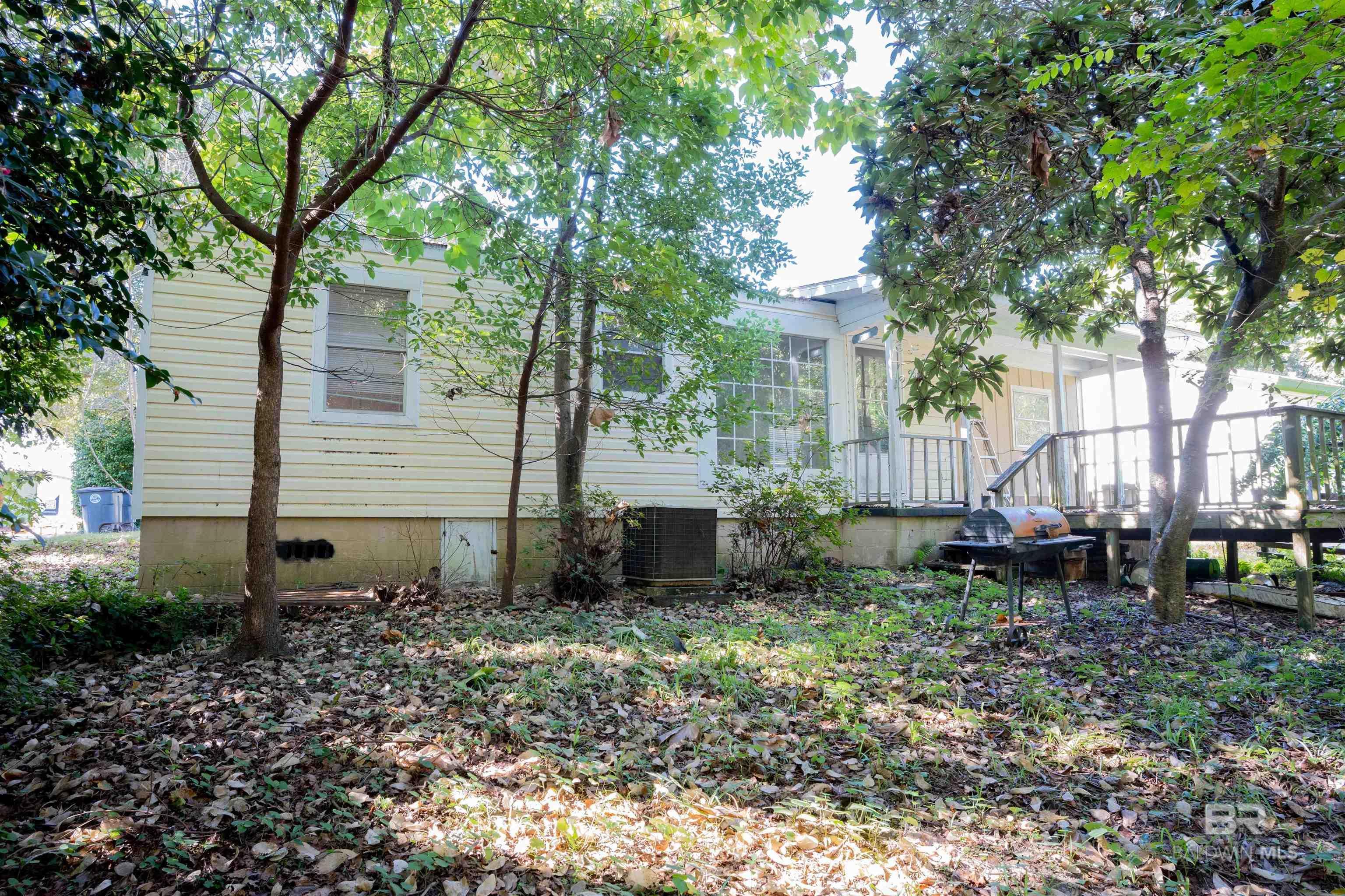 Image 3: Yard