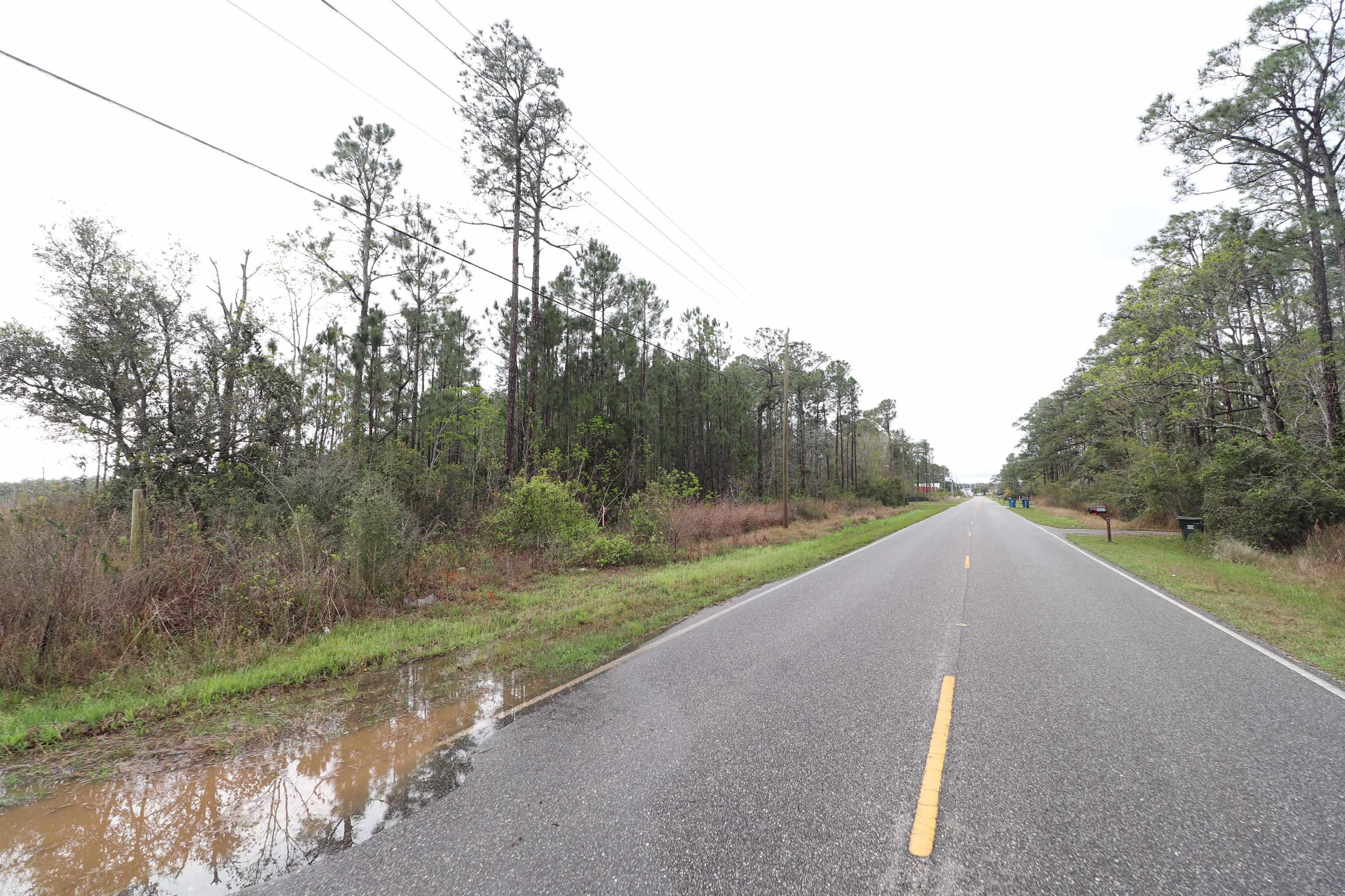Image 3: View of asphalt road