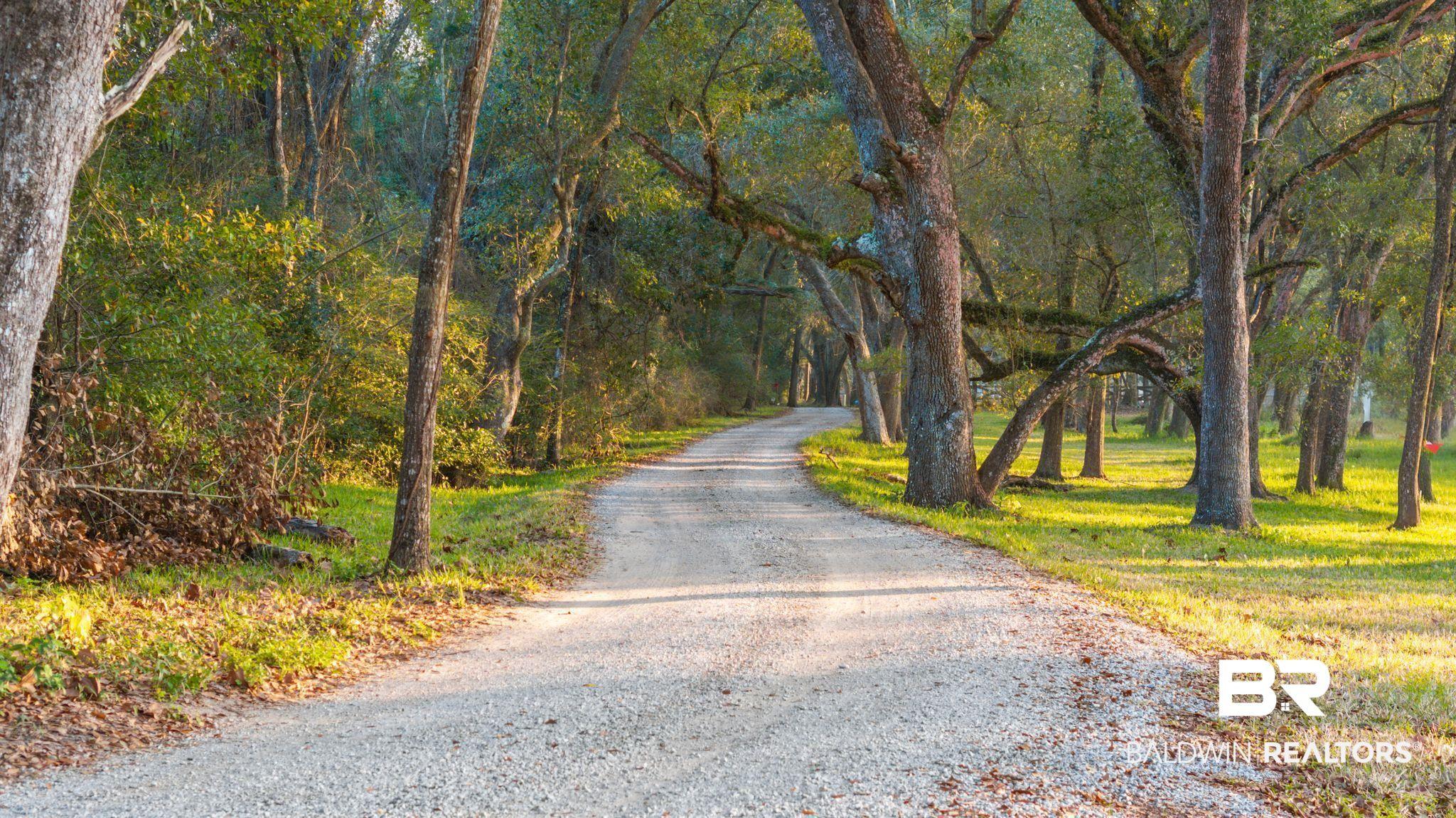 Image 3: View of road featuring a forest view