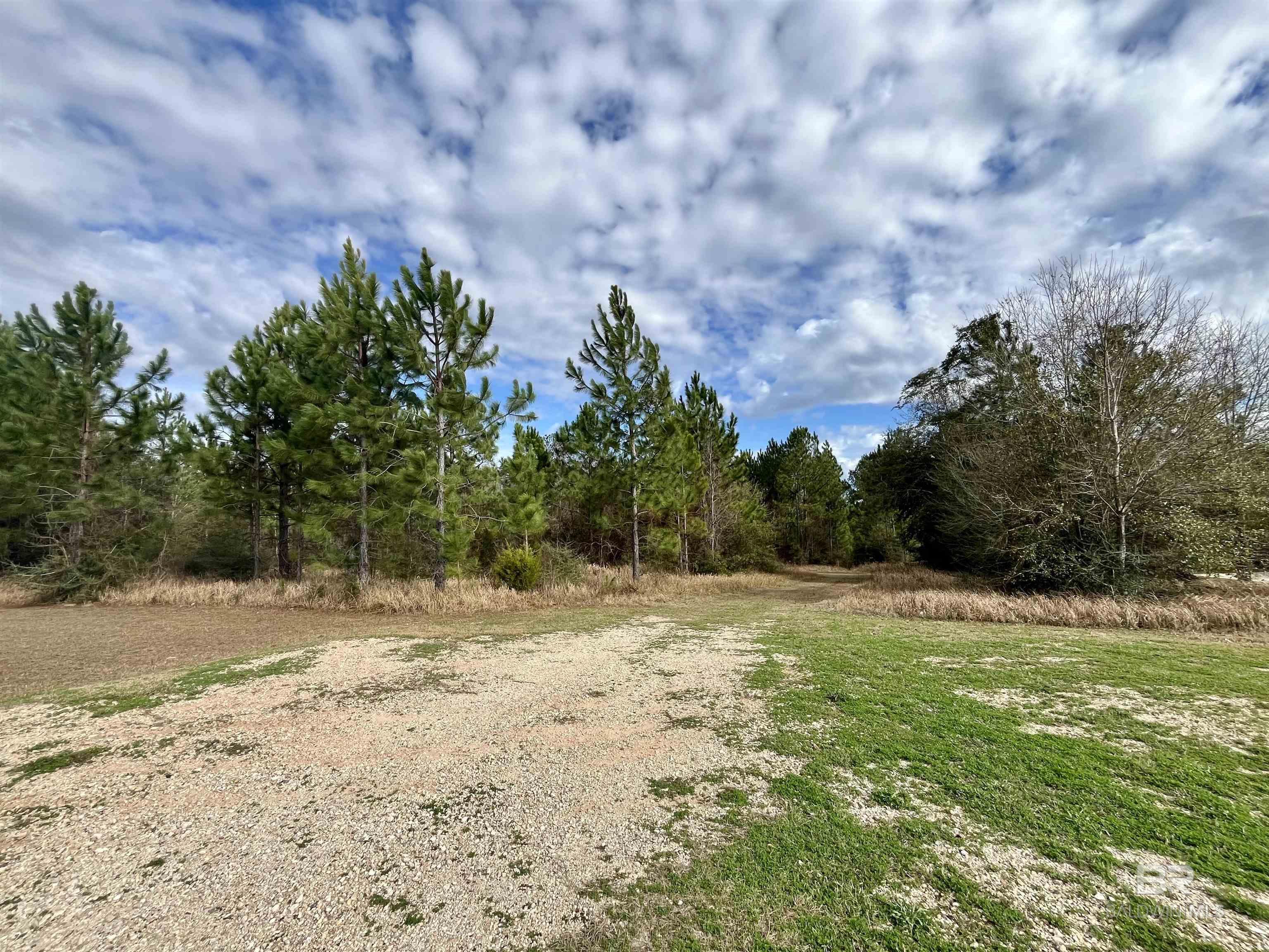 Image 1: View