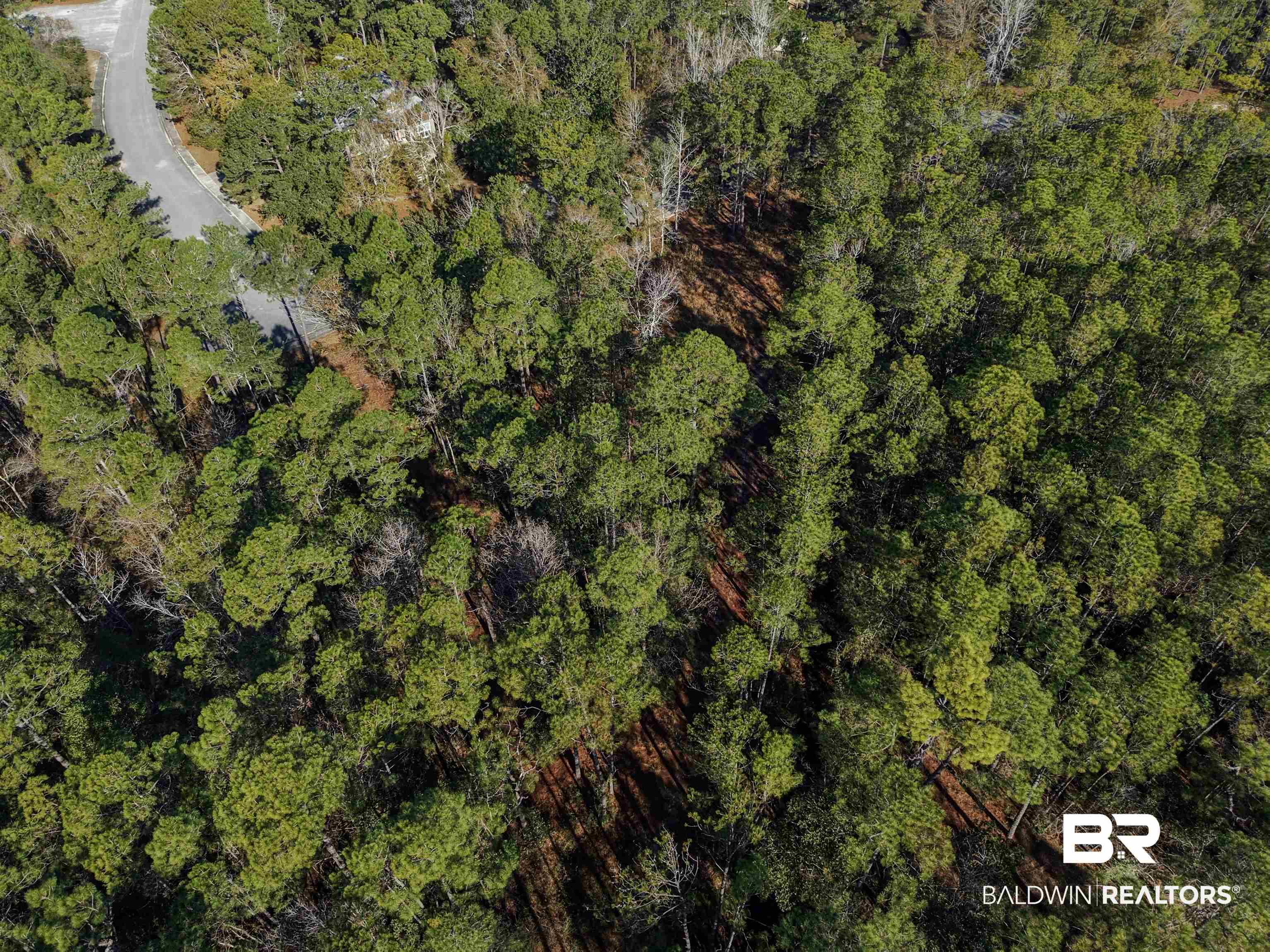 Image 4: Bird's eye view of a heavily wooded area
