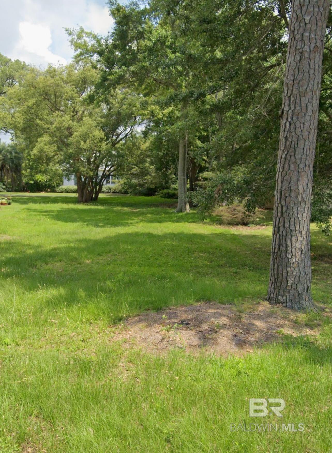 Image 2: Yard
