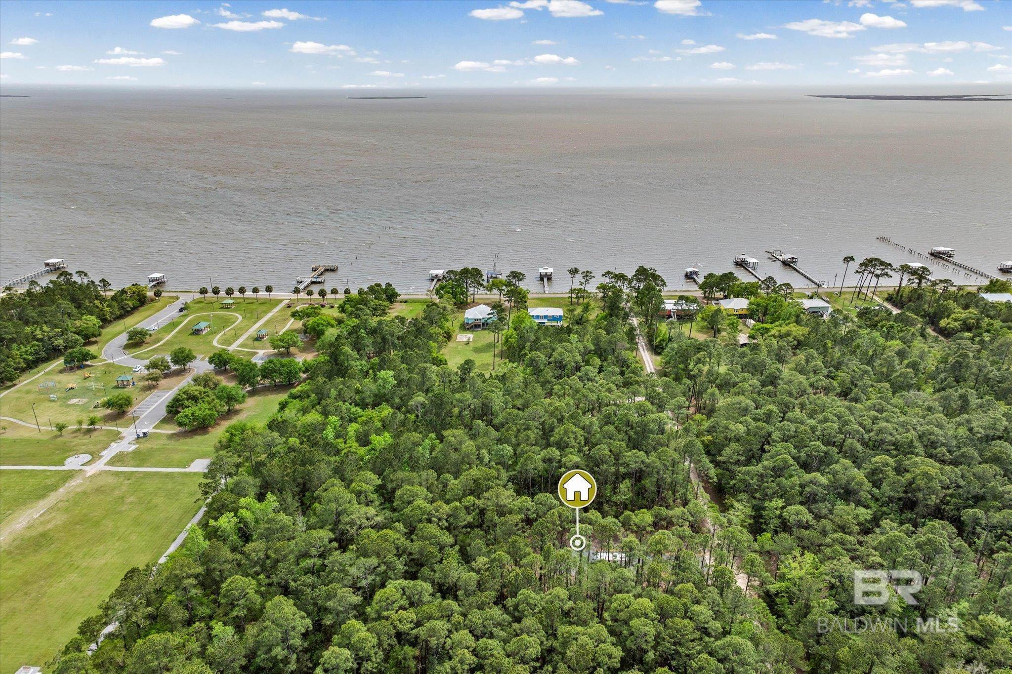 Image 4: Aerial View