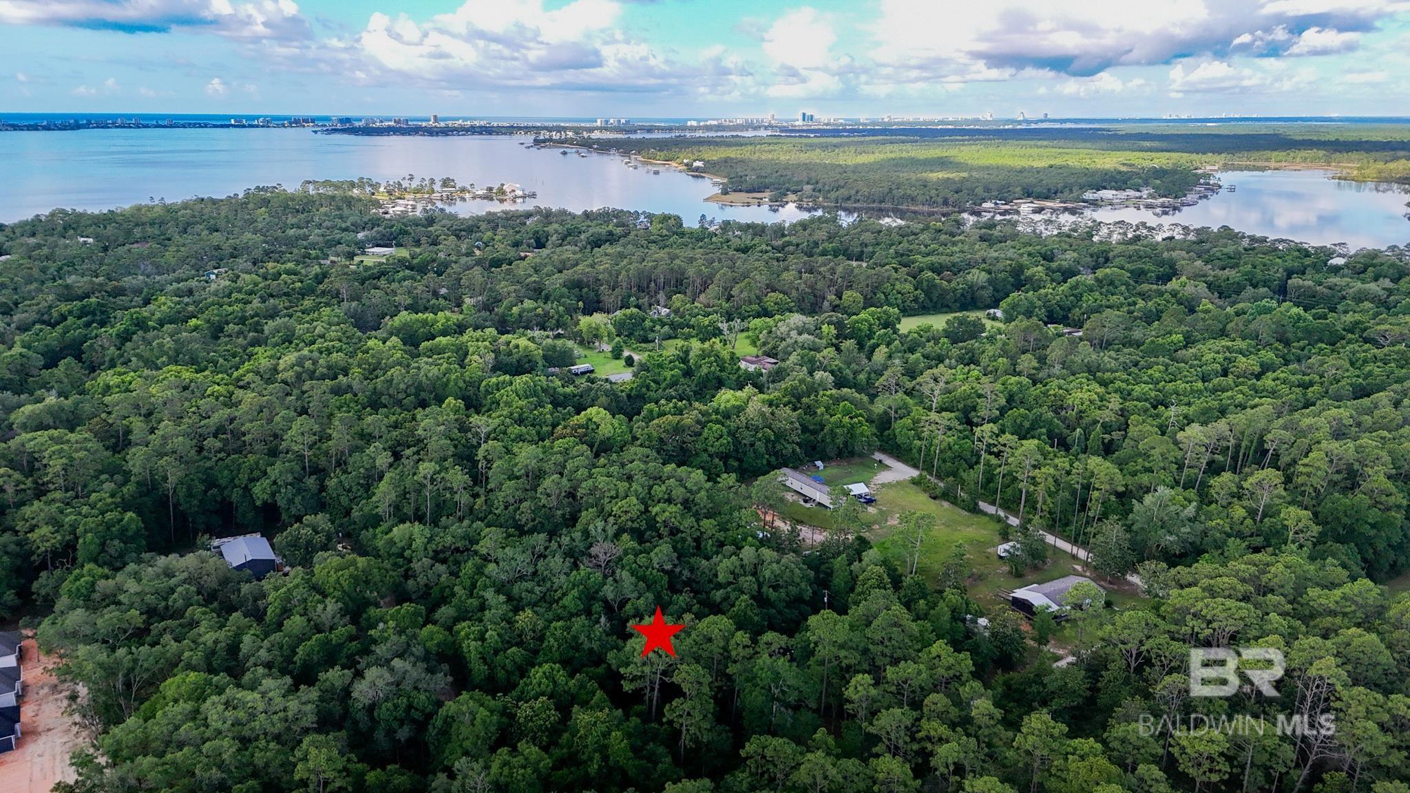 Image 3: Aerial View