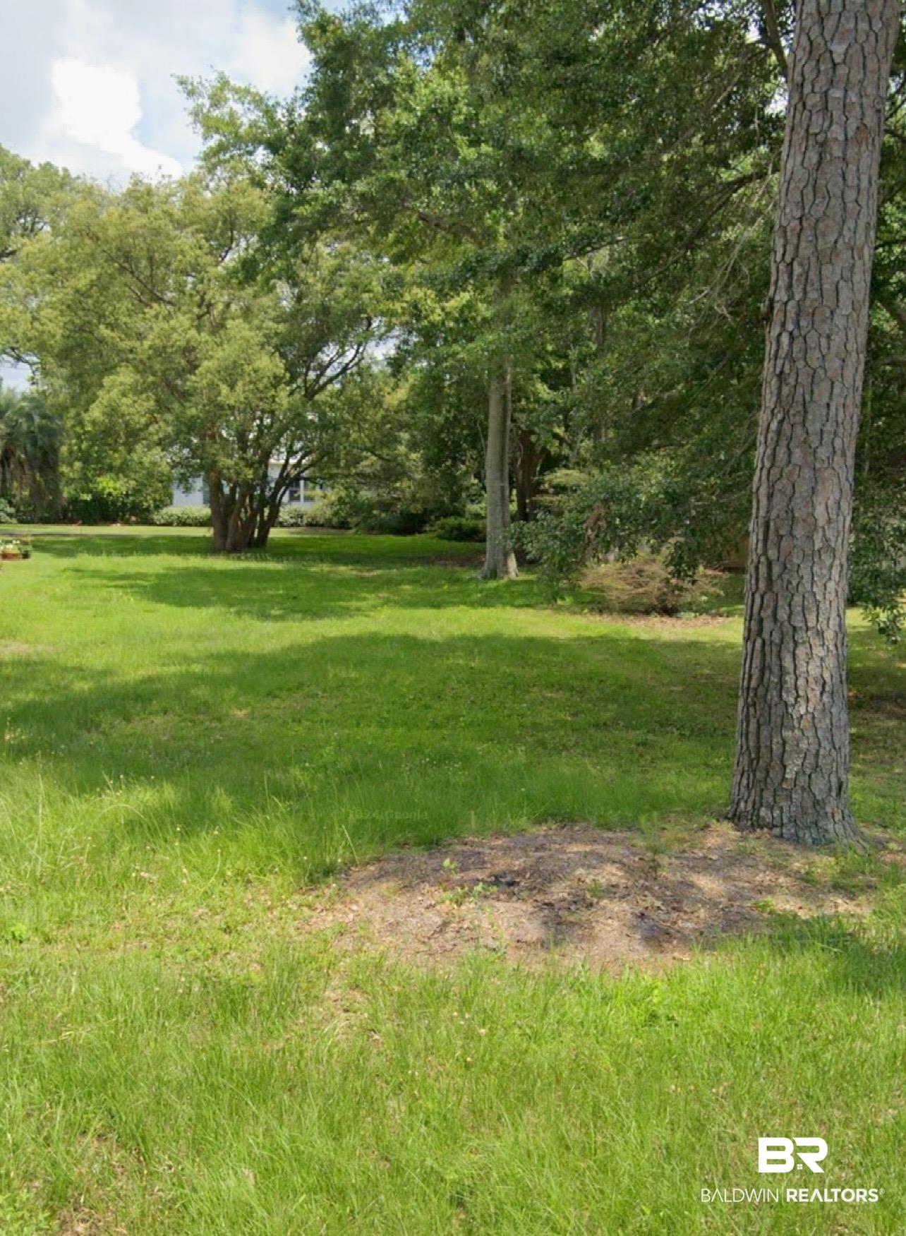 Image 2: View of lot