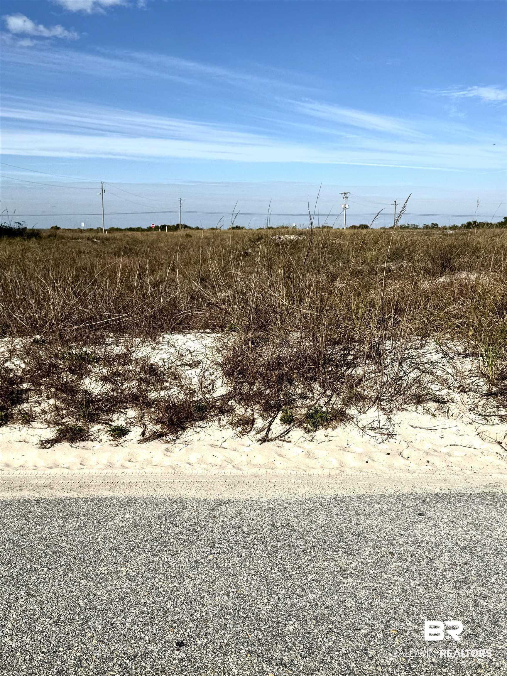 Image 2: View of undeveloped land