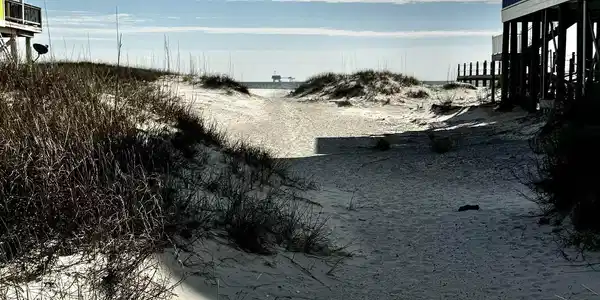 Image 4: Water view