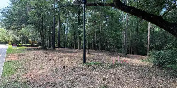 Image 2: View of yard featuring a forest view