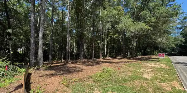 Image 3: View of yard