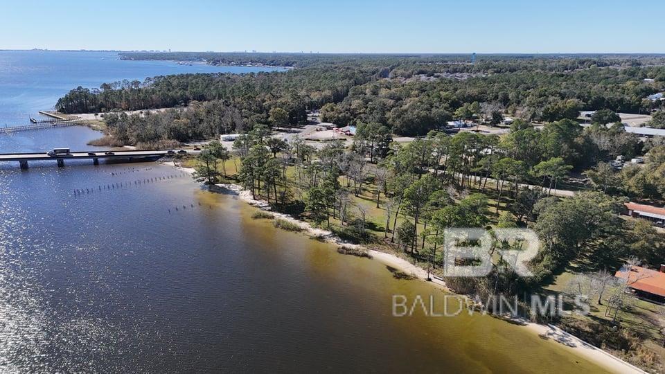 Image 3: Aerial View