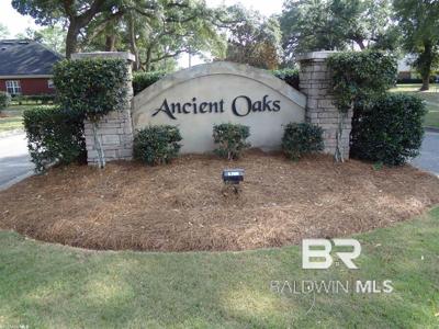 Lot 34 Ancient Oaks Circle