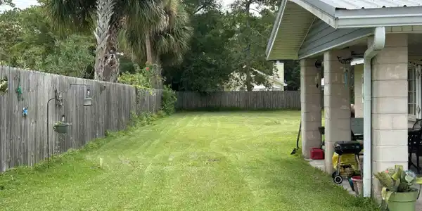 Image 3: Expansive green lawn with a wood privacy fence and mature palm trees