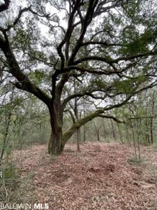 9751 S County Road 99