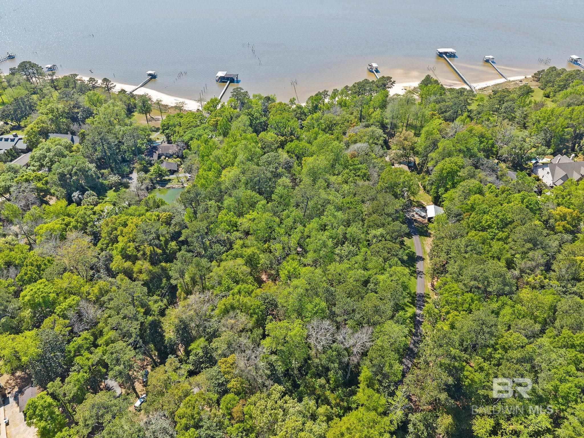 Image 4: Aerial View