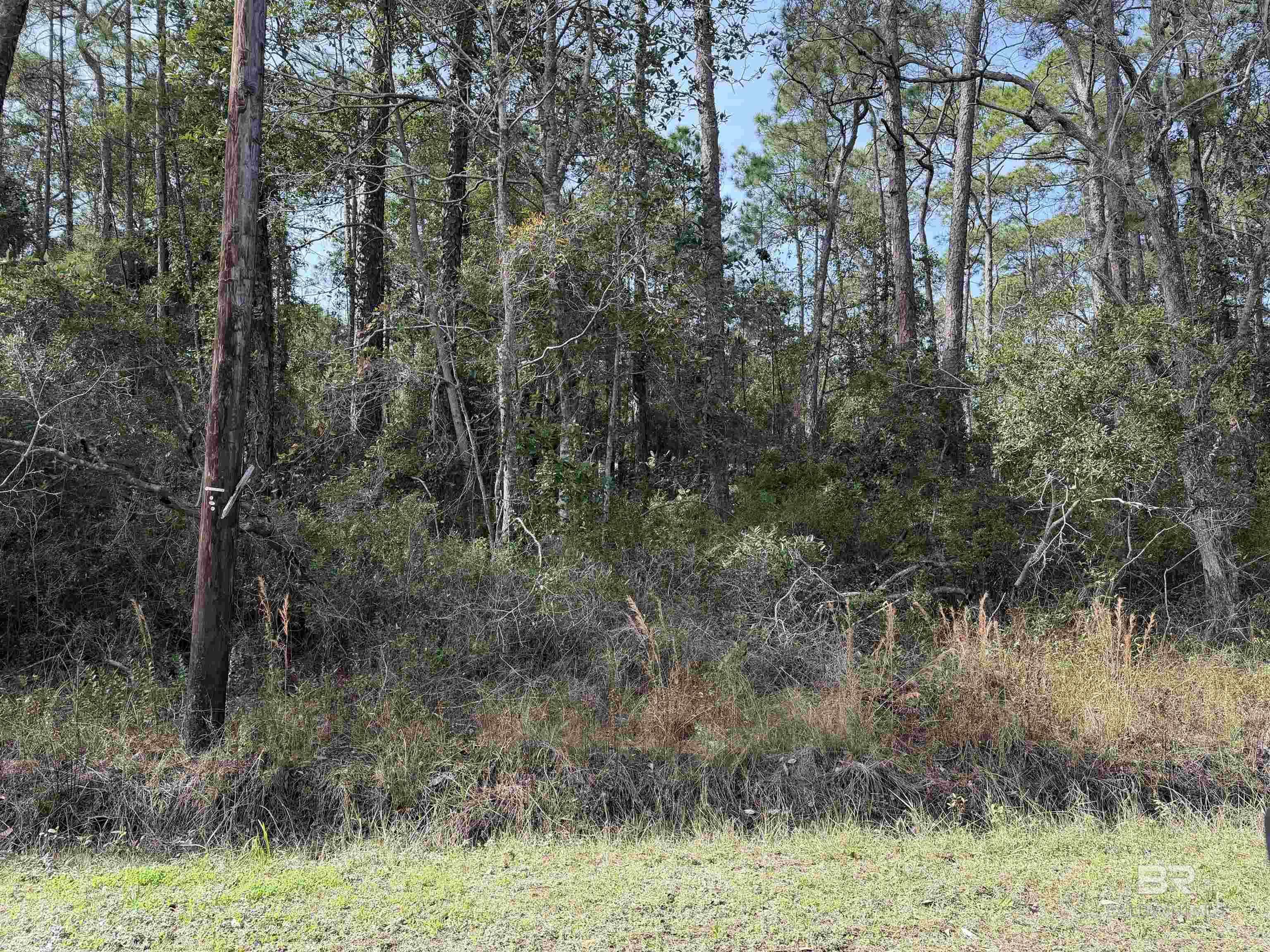 Image 1: View