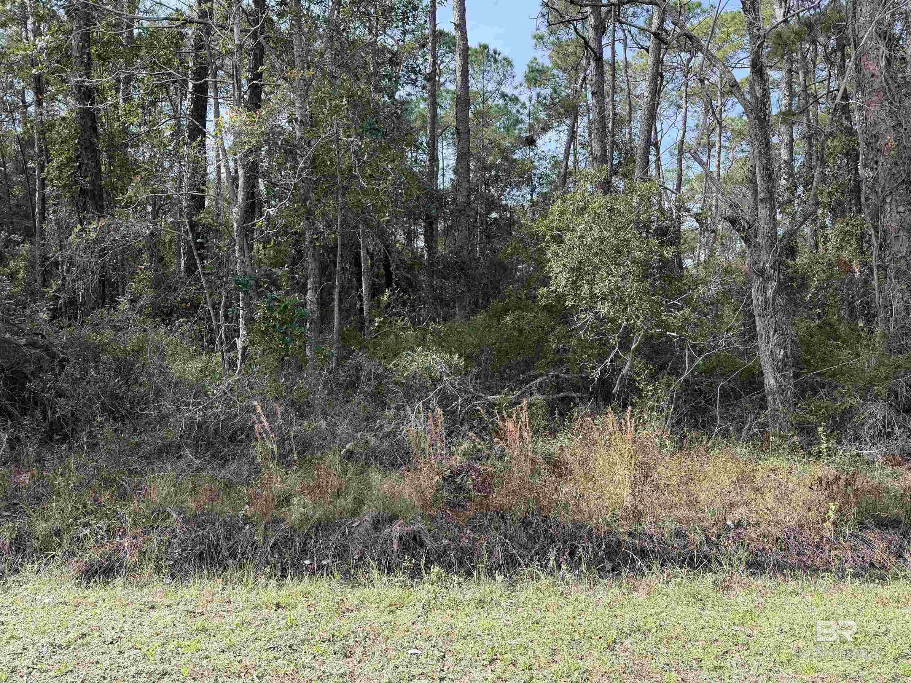 Image 2: View