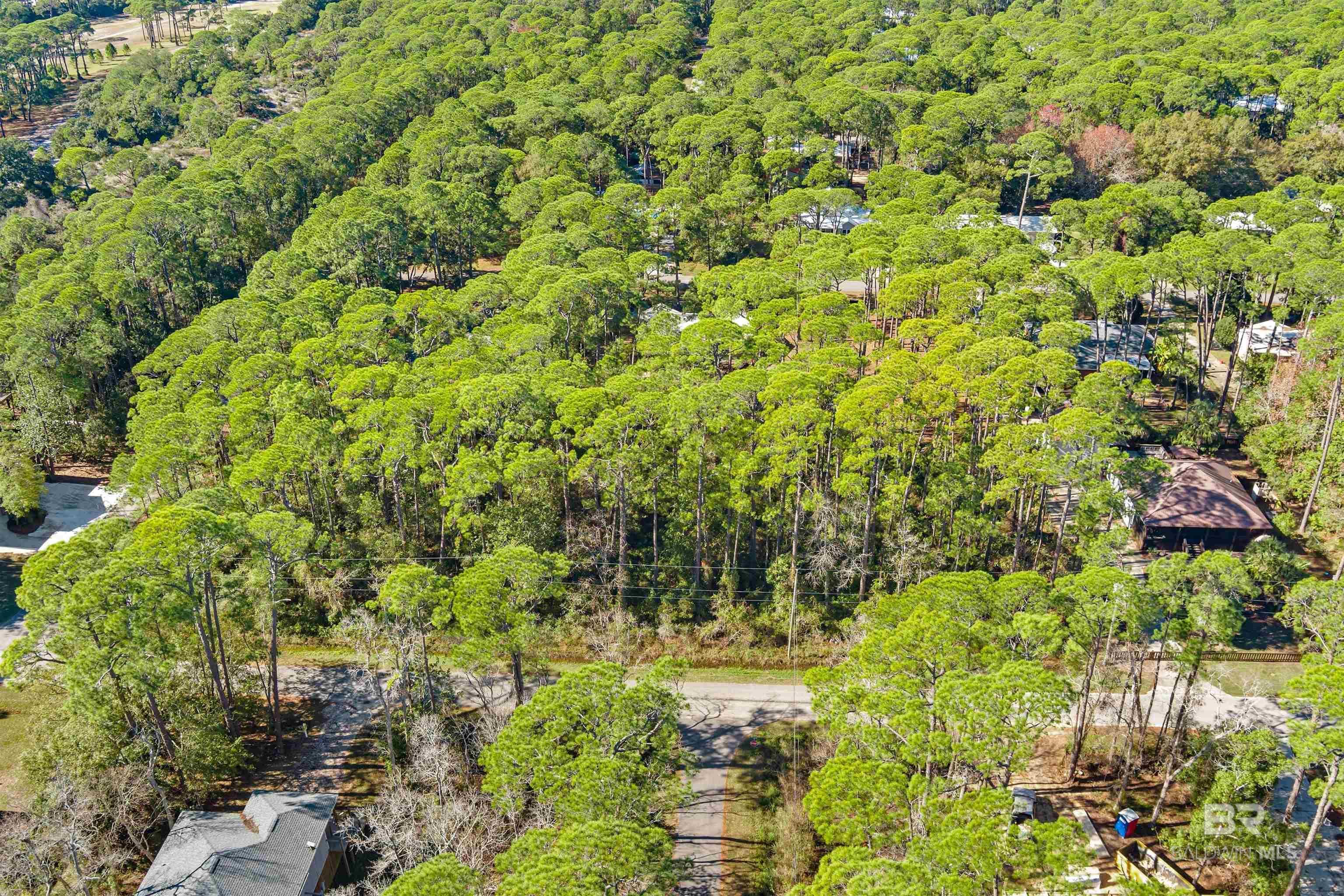 Image 3: Aerial View