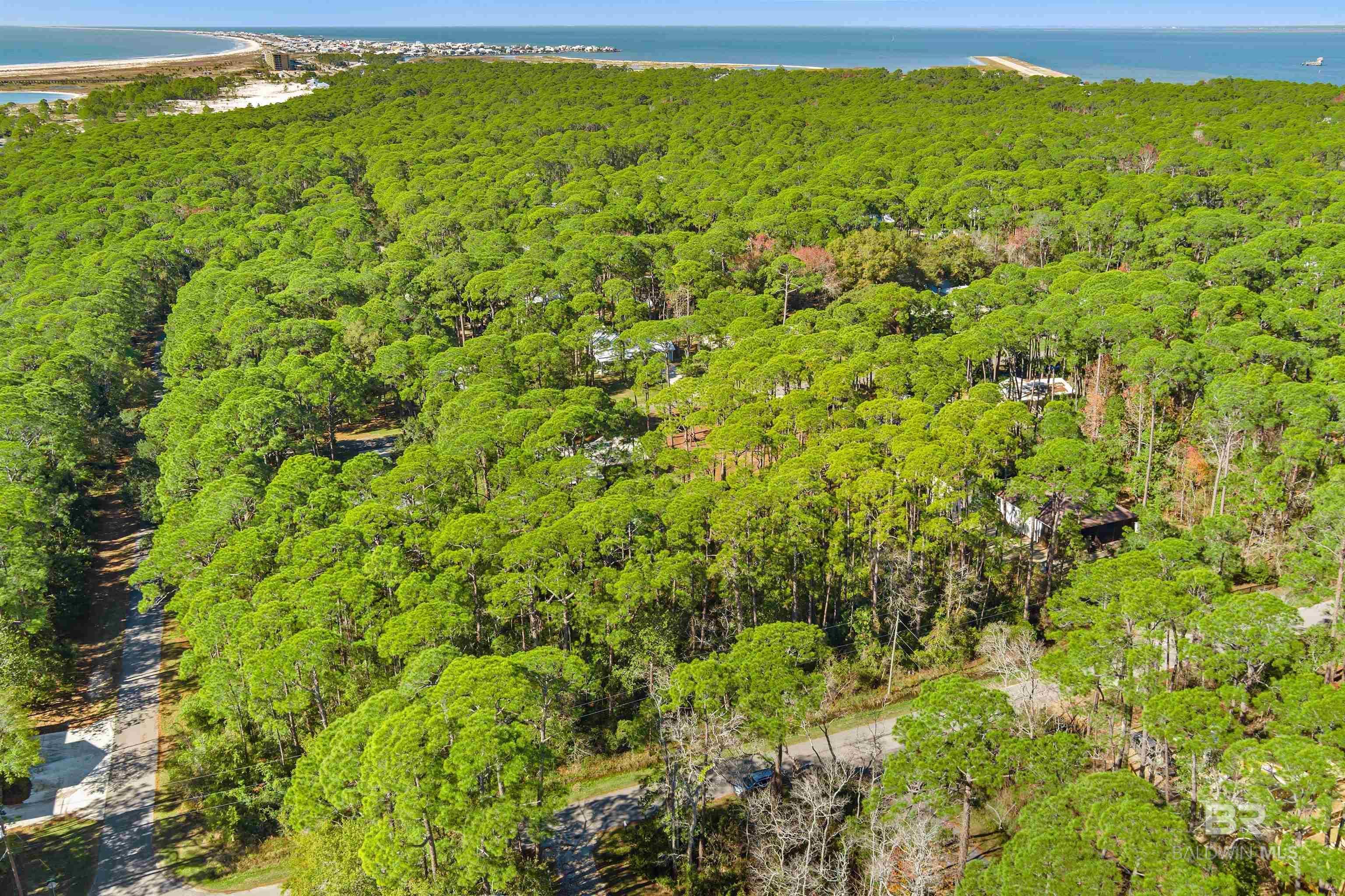Image 4: Aerial View