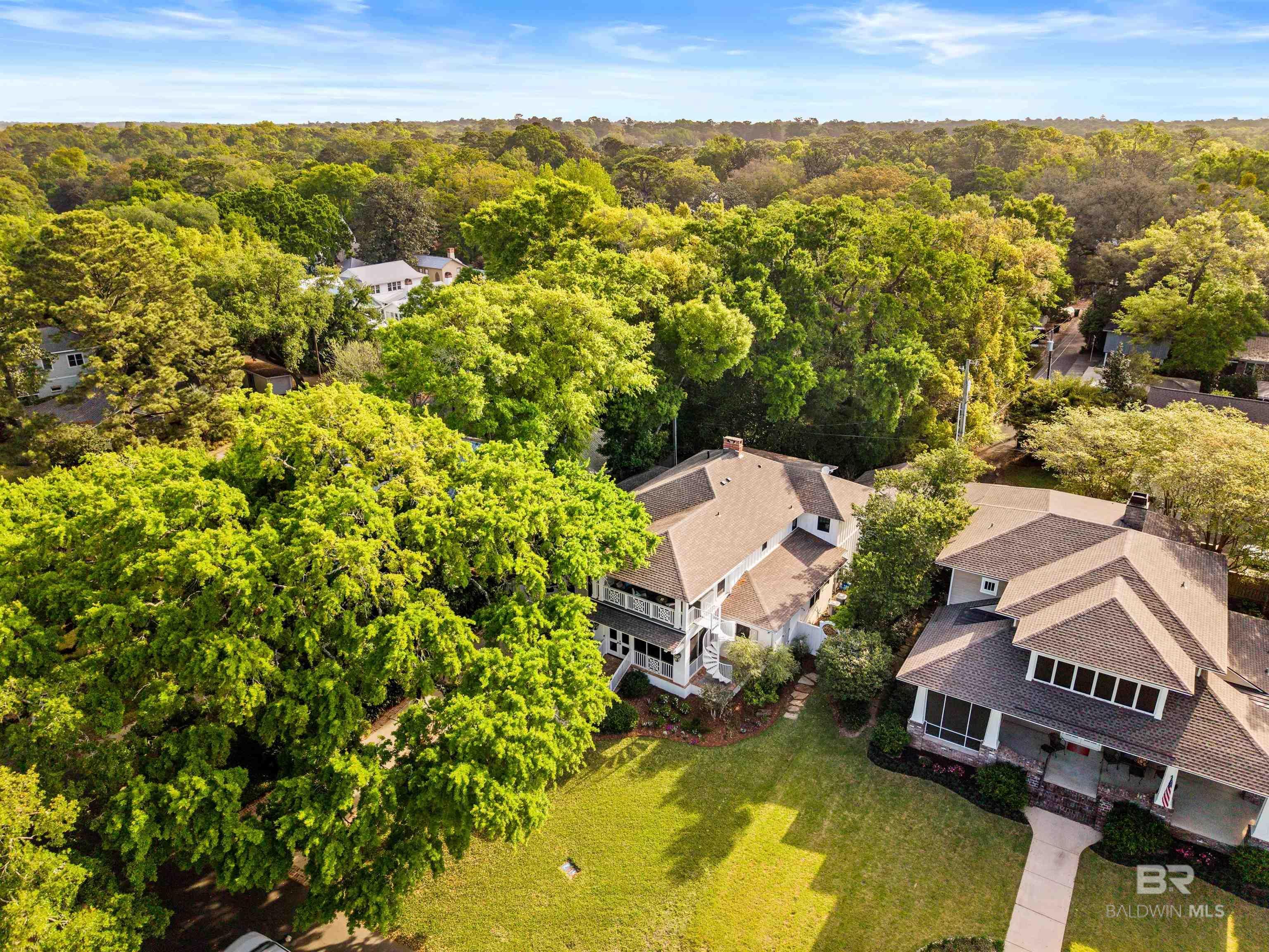 Image 3: Aerial View