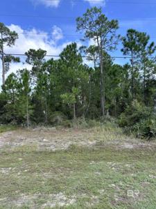 Cotton Bayou Drive