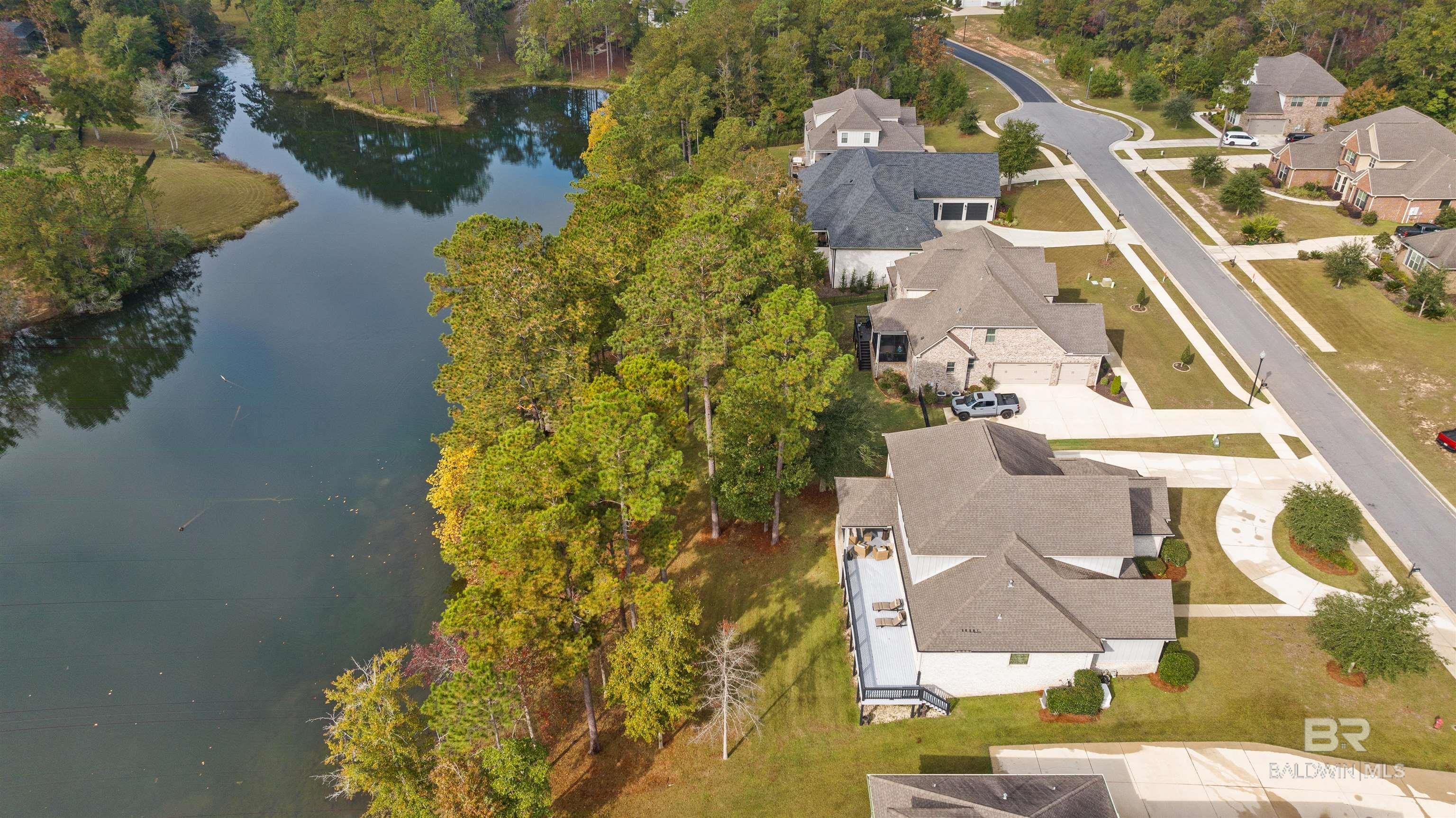 Image 4: Aerial View