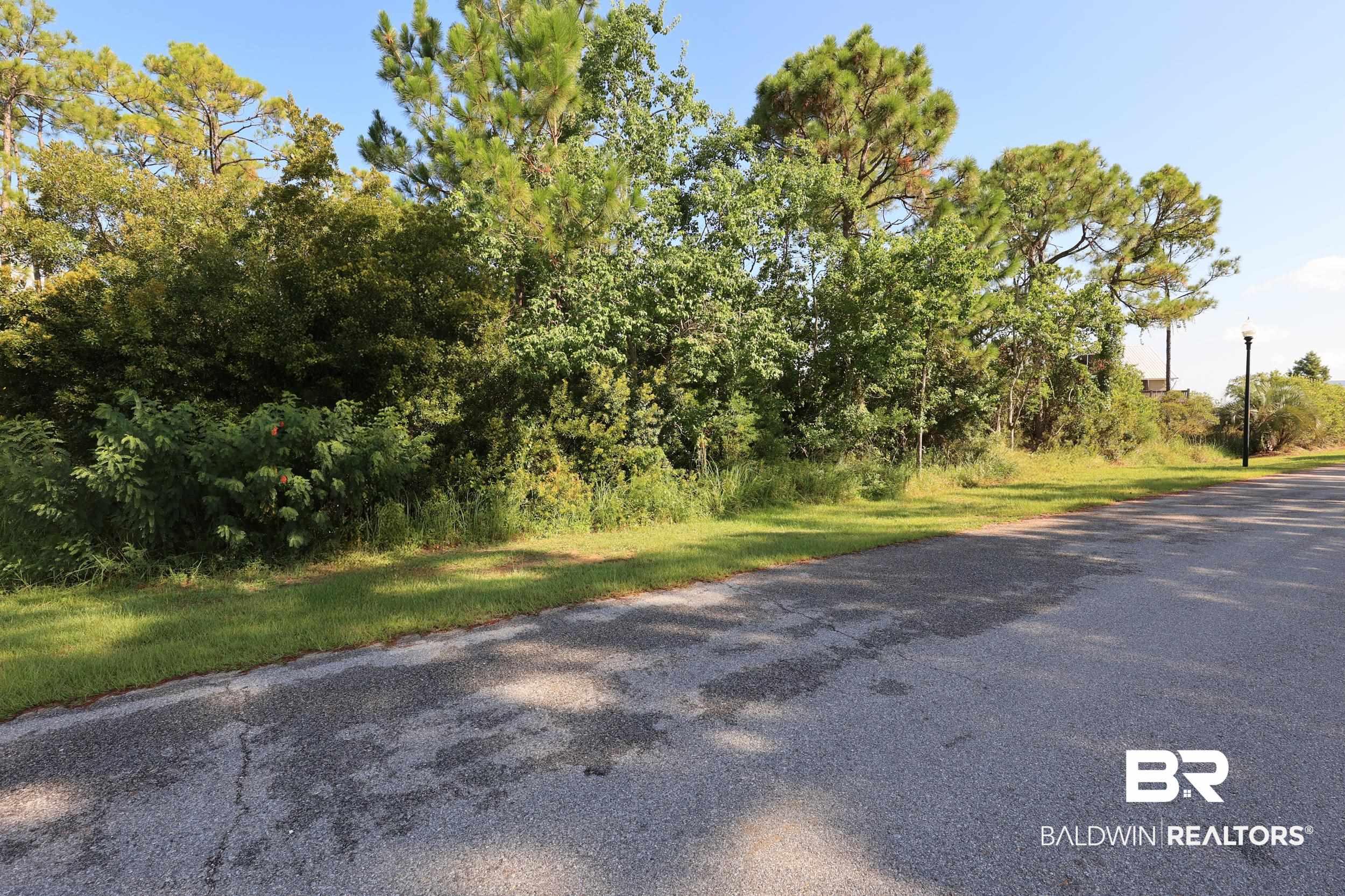 Image 1: View of asphalt street