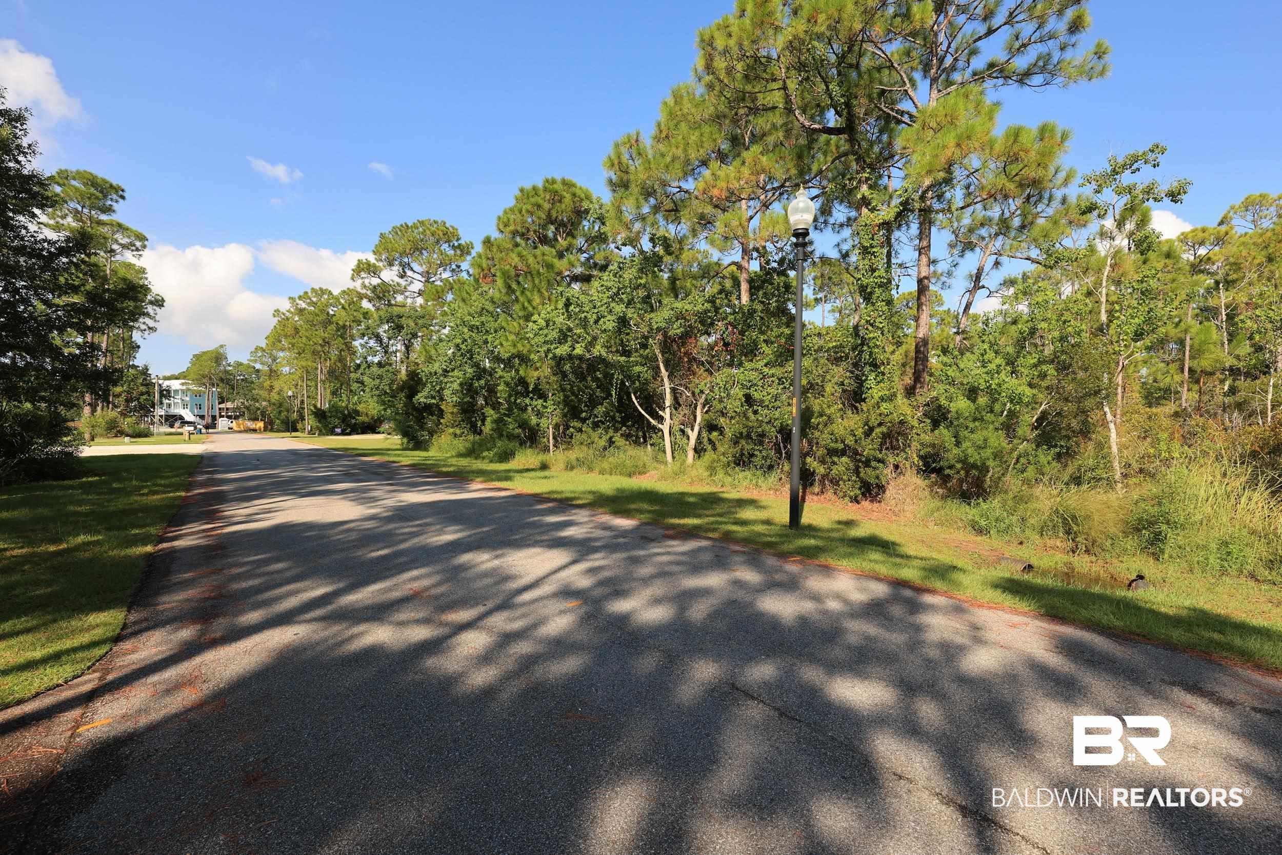 Image 4: View of asphalt road