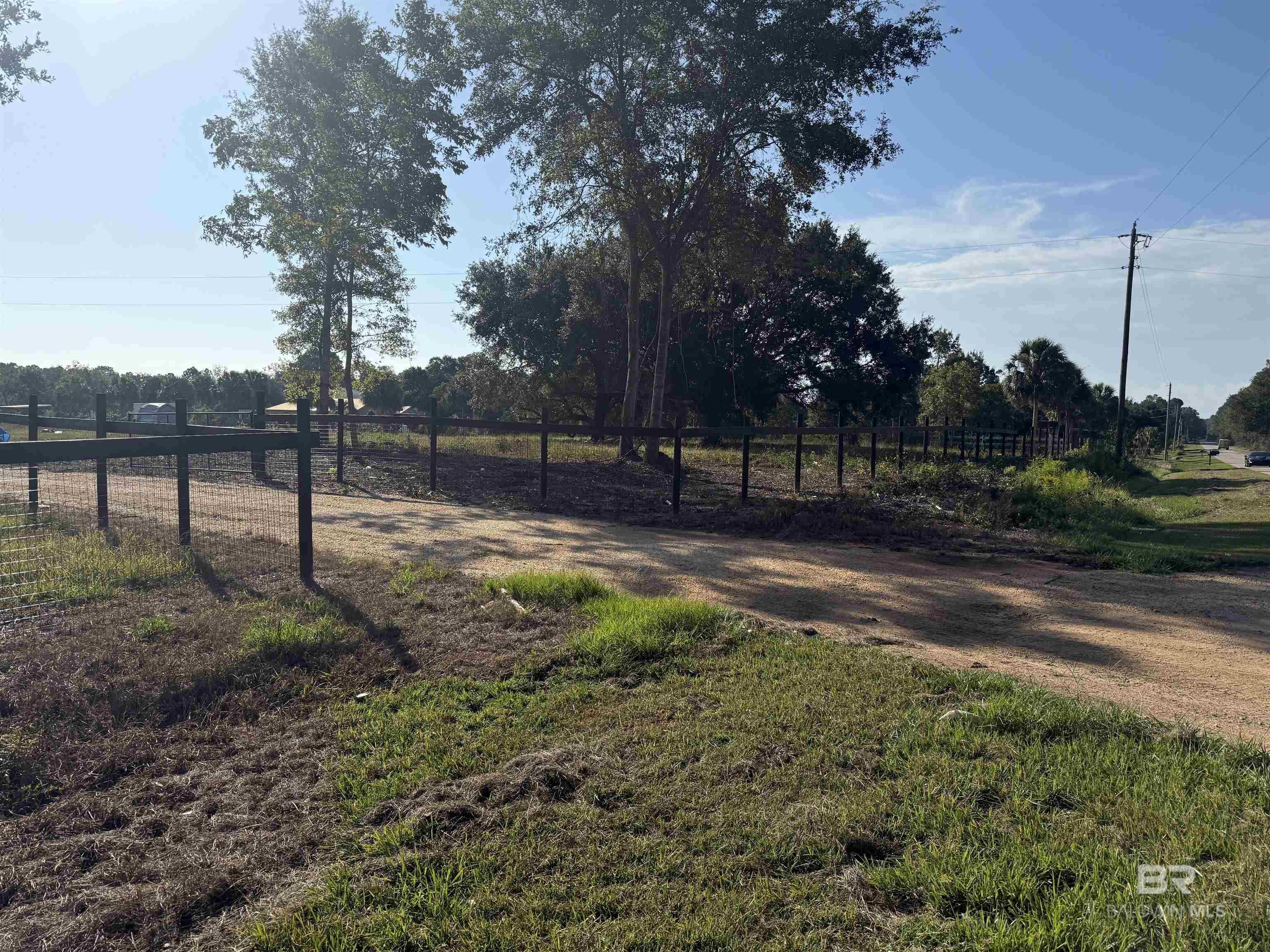 Image 3: Yard