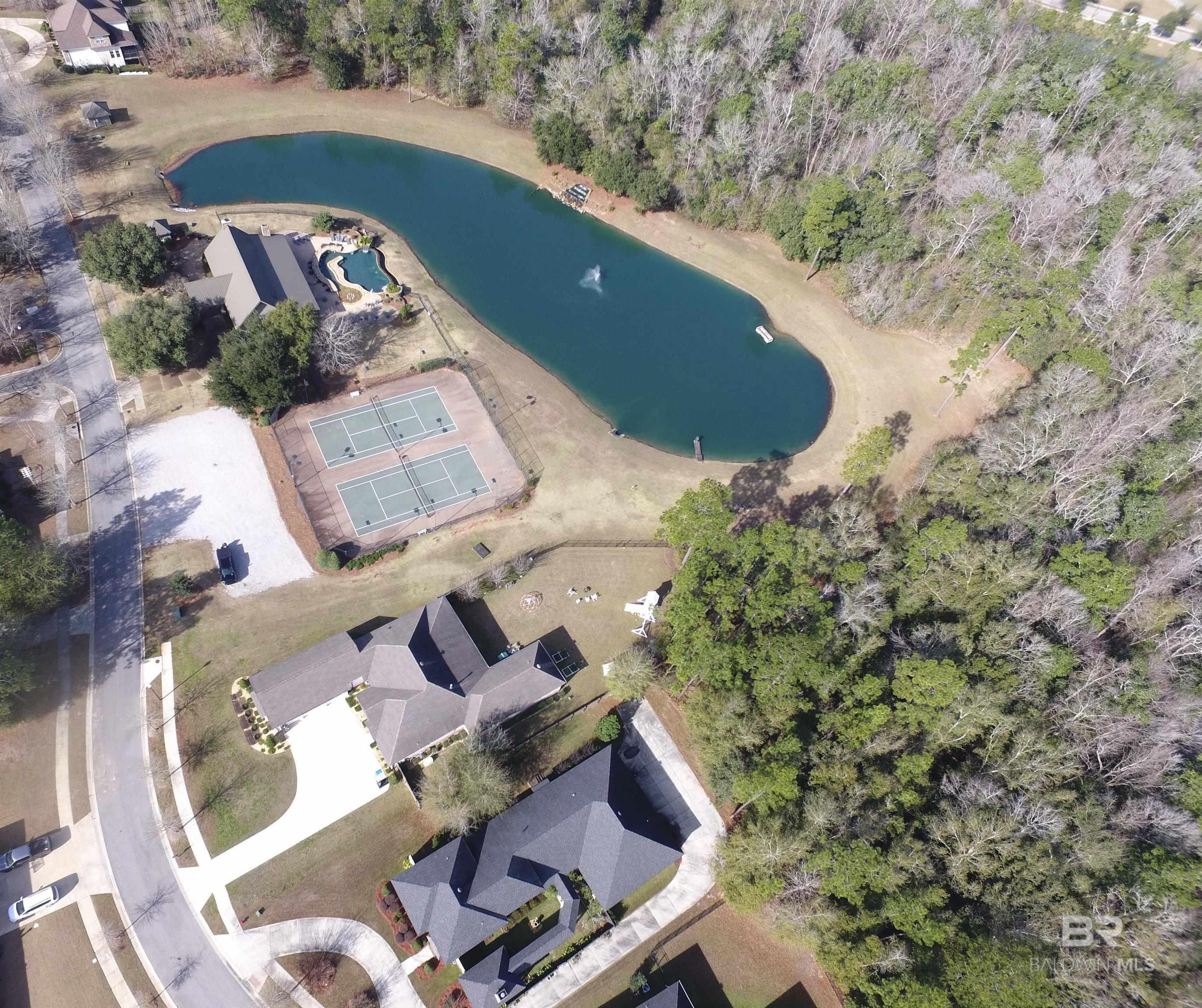 Image 2: Drone of Back of House and Neighborhood Amenities
