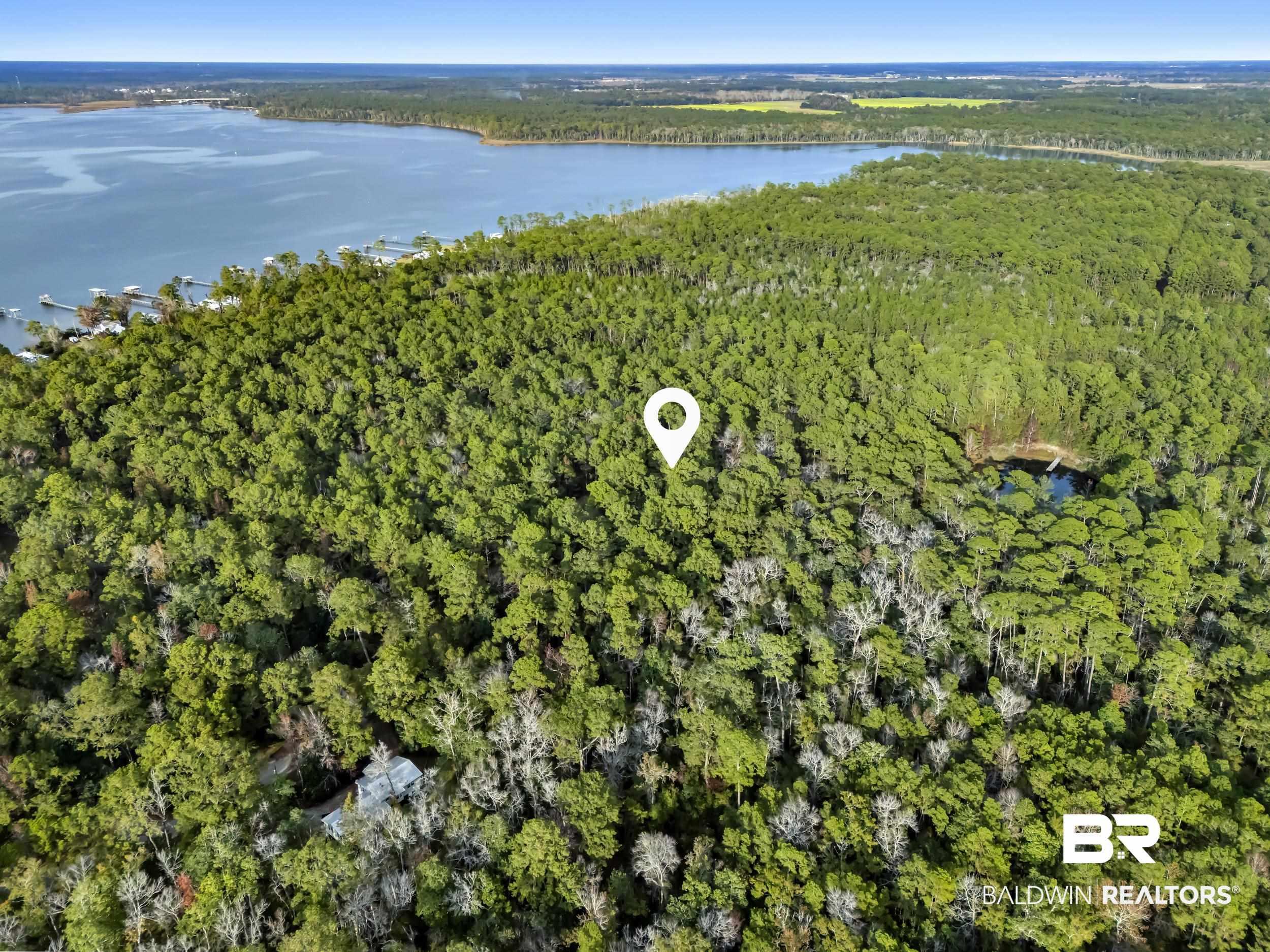 Image 1: View of property location with a forest and a large body of water