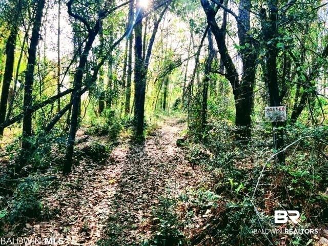Image 3: View of woods