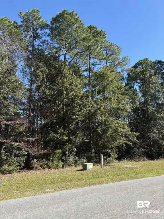Image 1: View of asphalt road with view of wooded area