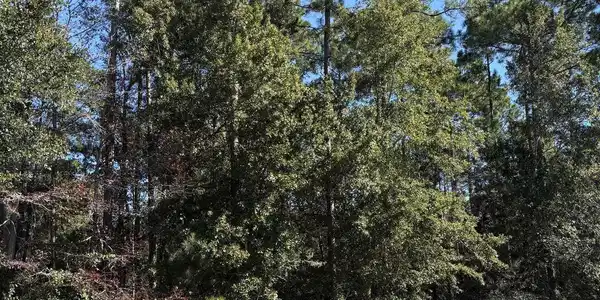 Lot 85 Treasure Oaks Road