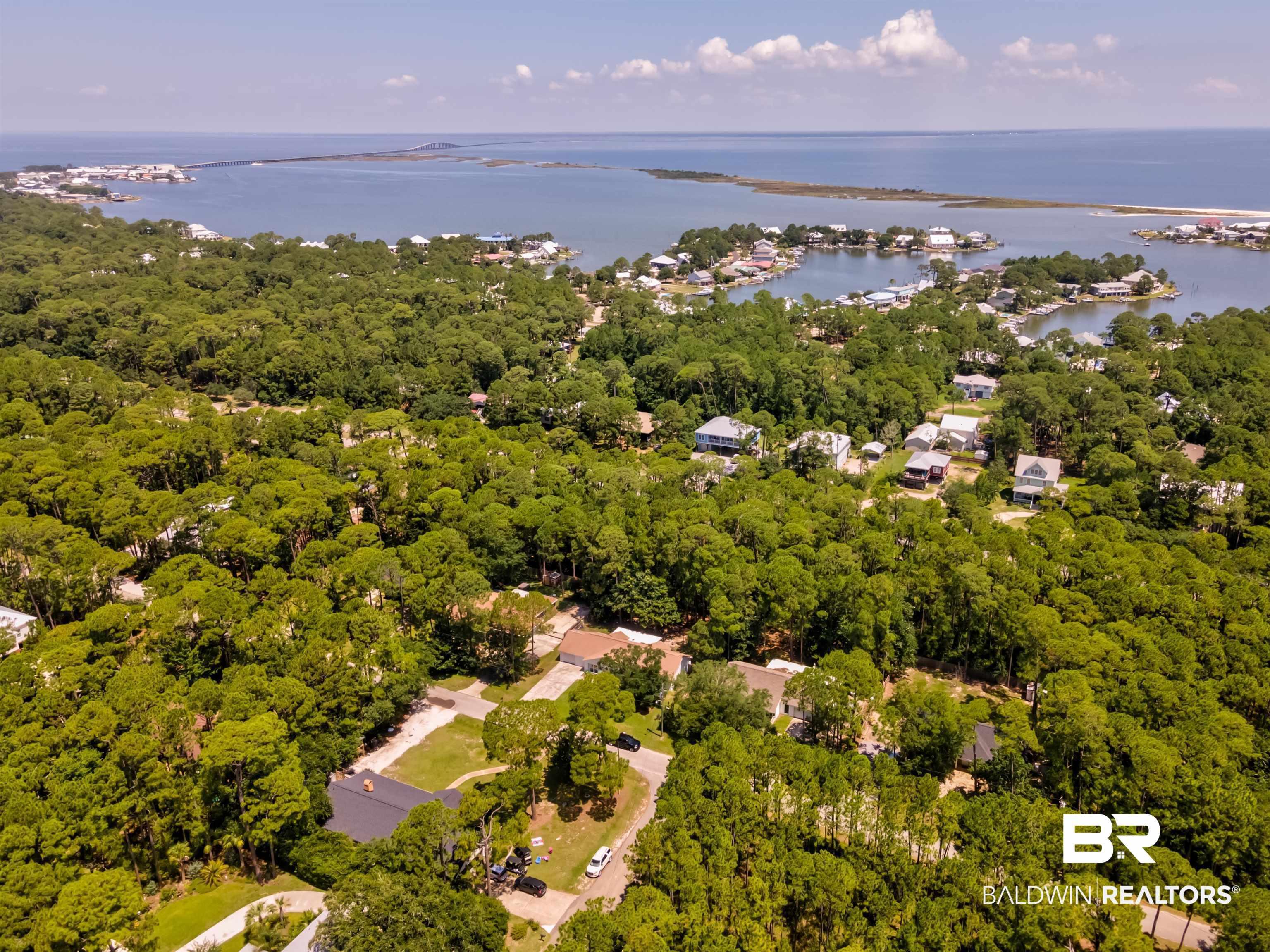 Image 3: Drone / aerial view of a large body of water and a heavily wooded area