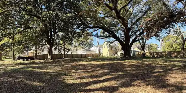 Image 3: View of yard