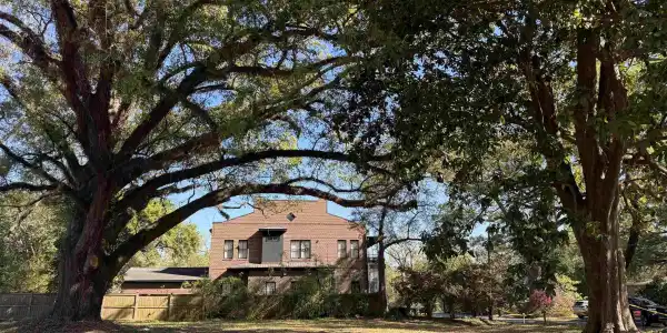 Image 4: View of yard