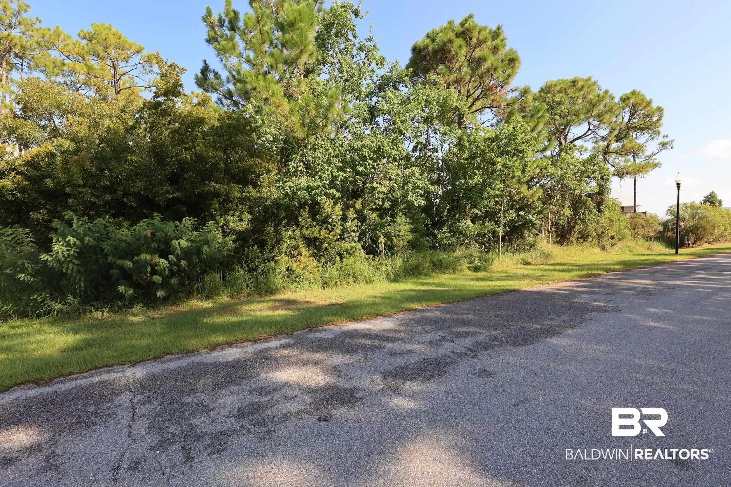 Image 1: View of asphalt street