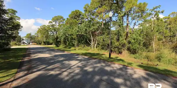 Image 4: View of asphalt road
