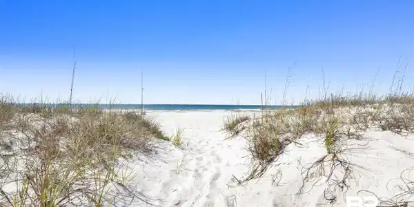 Image 2: White sand beach with a clear blue sky and ocean horizon
