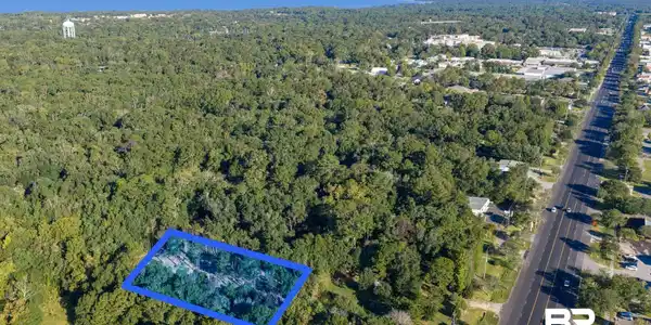 Image 3: Aerial view of property and surrounding area with a forest and property parcel outlined
