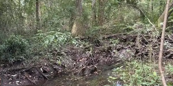 Image 4: Creek on property