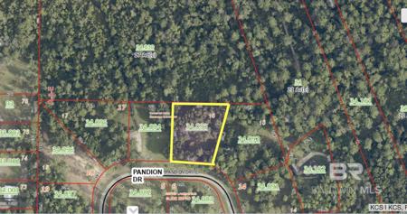 0 Pandion Drive