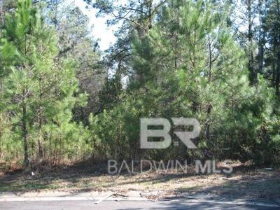 0 Wilkins Creek Court