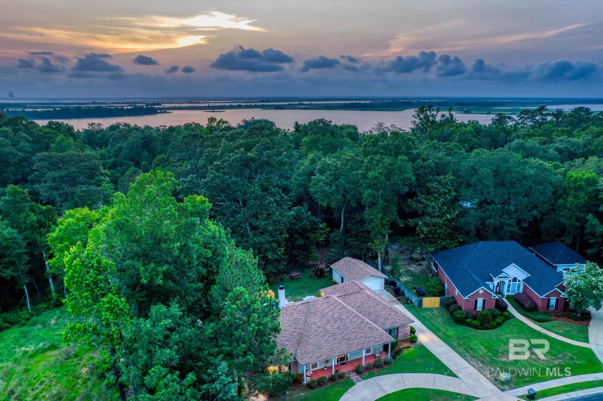 Image 3: Aerial View