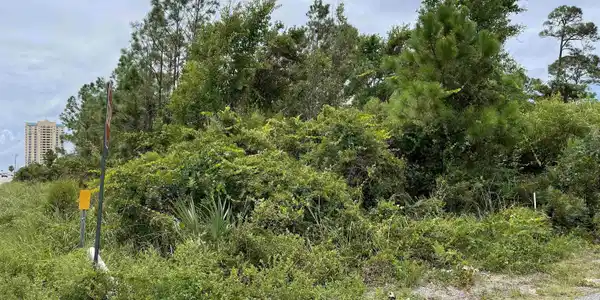 13500 Perdido Key Drive