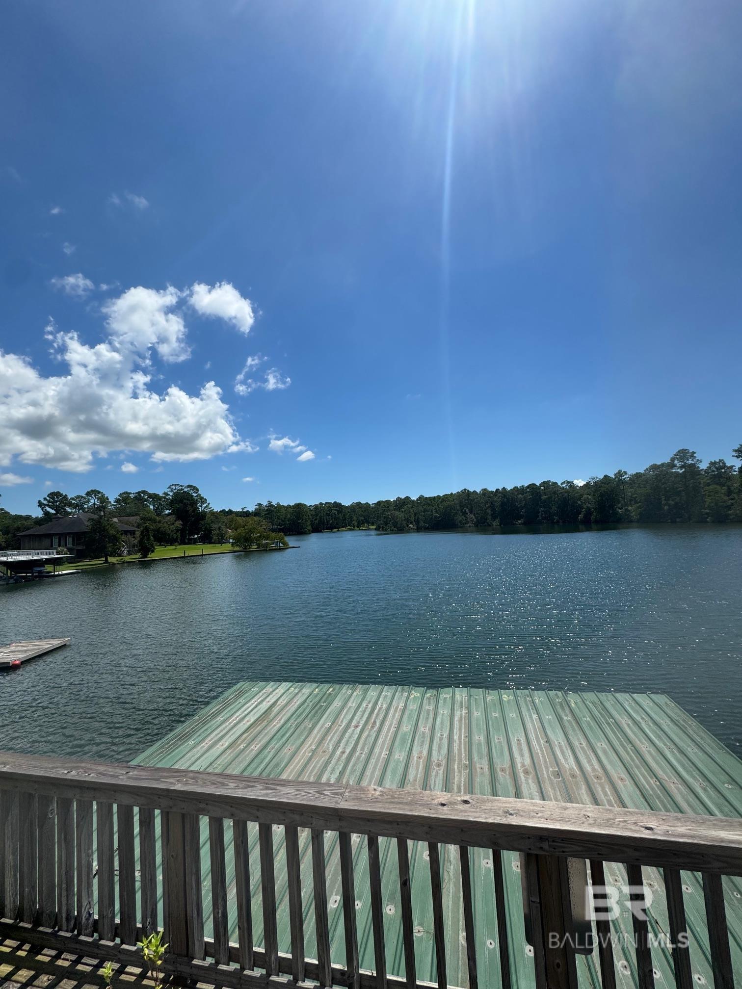 Image 3: Dock