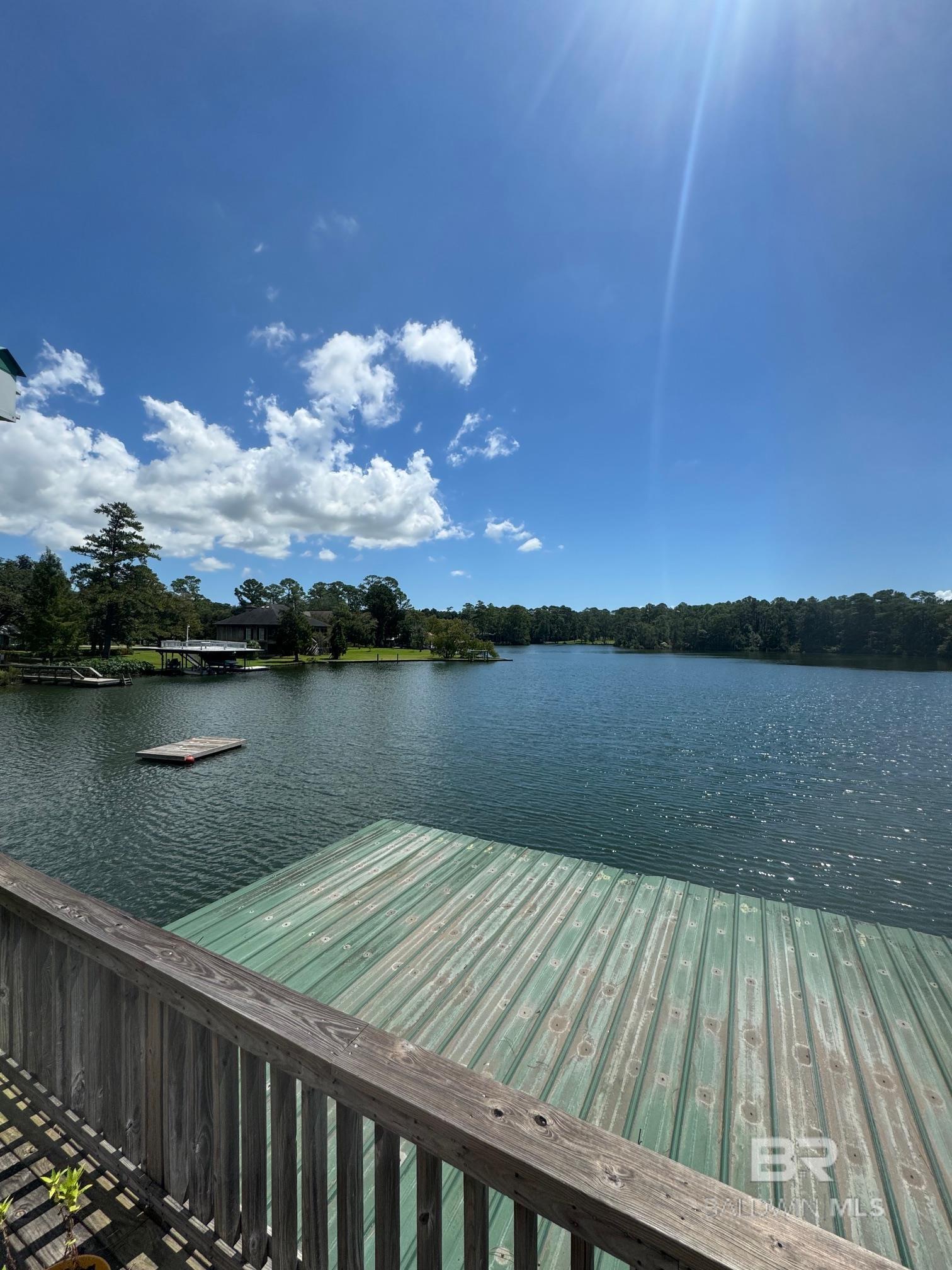 Image 4: Dock